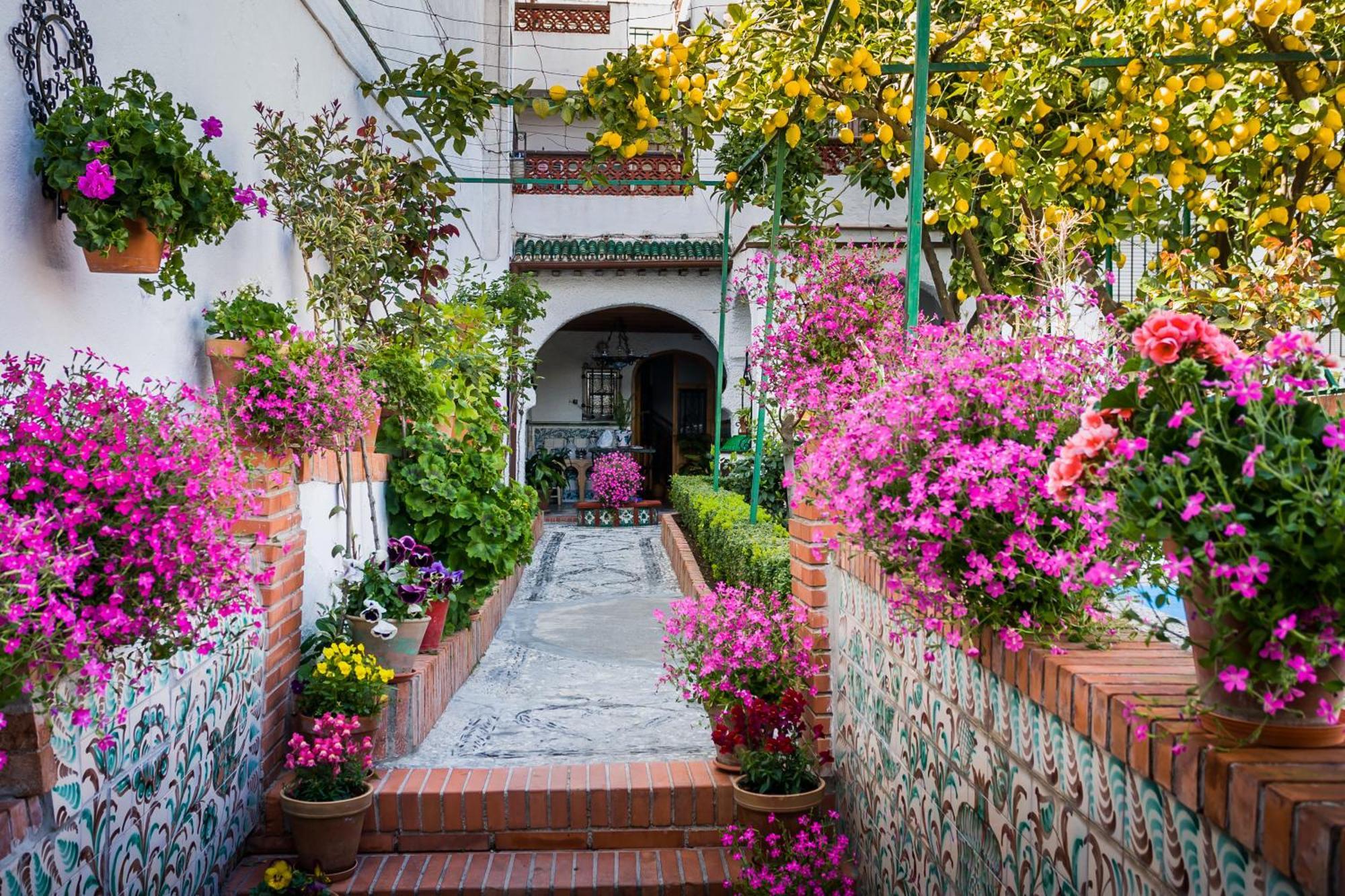 Appartement Grazaries -Piso Centrico Granada- Extérieur photo